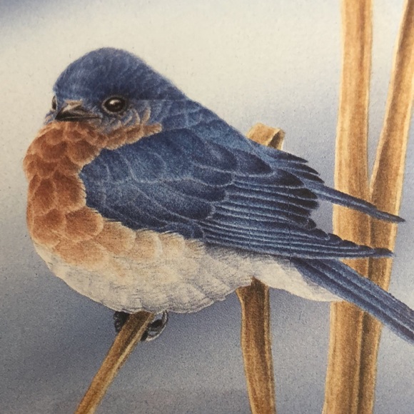 Blue Bird print by L. Daniel/ natural tone wood frame/ double matted/bird/straw - Picture 4 of 14